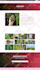 design a modern elementor website for your wordpress site