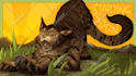 draw your warrior cat oc