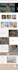 build shopify store shopify website and shopify dropshipping store
