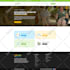 design wordpress website and build wordpress website