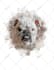 draw a watercolor pet portrait from your photo