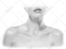 draw custom realistic digital pencil portrait from photo