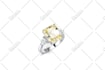 do professional watch retouching  dial clean  chain clean lighting and more