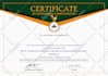 design executive, professional certificates
