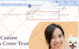 setup or fix meta pixel and dataset conversion API ga4 server side tracking