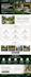 do website development, create, design and redesign wordpress website