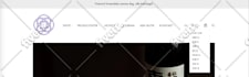 do shopify customization and developments