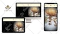 create a professional ecommerce website for your business