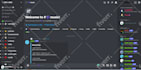 setup nft and crypto discord servers within 24 hours