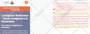 fix your wordpress website bugs, issues, and errors