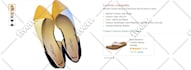 craft a perfect amazon product listing and amazon listing optimization