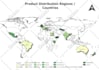 do gis mapping spatial analysis in qgis arcgis pro