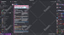 setup custom discord server professionally