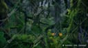 do professional matte paintings