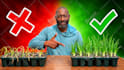design amazing youtube thumbnail in 2 hours