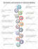 design professional graphs diagrams tables charts layouts