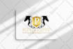 do fabulous redesign, edit, fix, vectorize your logo design