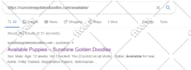 index your links in google within 24 hours