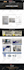 develop professional wordpress website