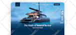 build a professional business wordpress website