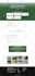 customize, update, clone, build or redesign, wordpress website design elementor