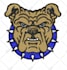 do embroidery digitizing any logo and image in few hours