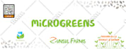 design an eye catching product package design labeling