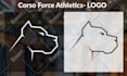 do logo creation vectorized tracing and touch up