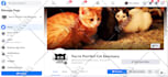 create, update and promote your facebook business page