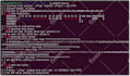 solve any capture the flag ctf challenge