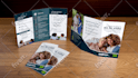 do editable canva brochure, canva flyer, canva trifold design