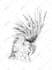 draw animal, fish, bird hand drawn vector illustrations