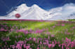 create 15 meditation relaxing nature video for youtube