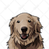 draw pet into awesome cute cartoon