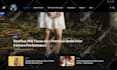 build a responsive wordpress website for your business