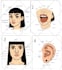 draw professional anatomy and medical illustrations