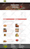develop professional responsive wordpress website