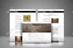 create modern wordpress business and blog website