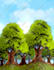 draw background for website,application phone, game