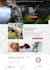 build wordpress website design or redesign, custom wordpress website development