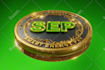 design a custom 3d crypto coin and spinning token animation