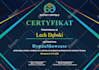 make quality certificate design for you