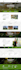design your website using elementor pro page builder