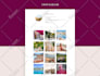 curate a stunning aesthetic for your instagram feed