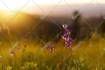 create relaxing meditation music video for you