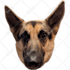 create twitch or discord emotes from preexisting images