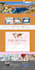 build plumbing website, hvac electrician, painting, roofing website on wordpress