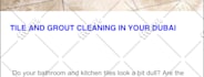 do 10 SEO guest post on high da website with dofollow permanent backlink in uae