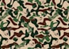 draw custom paisley pattern design for bandana or shorts