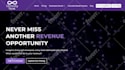 do website design, wordpress website development, and business website